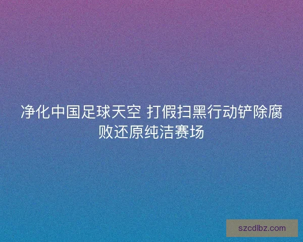 净化中国足球天空 打假扫黑行动铲除腐败还原纯洁赛场 净化中国足球天空 打假扫黑行动铲除腐败还原纯洁赛场